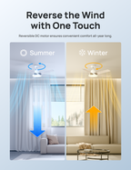 Ceiling Fan 521S