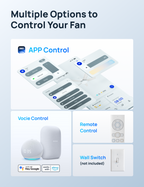 Ceiling Fan 521S