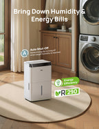 Smart Dehumidifier 512S