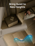 Ceiling Fan 521S