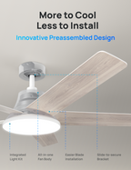 Ceiling Fan 521S