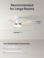 Ceiling Fan 521S